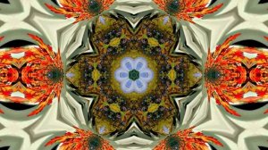 С Днём Рождения!!! Осенняя сказка 5!!!