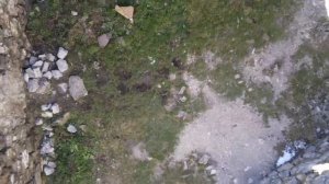 Поход к замку Фрегат