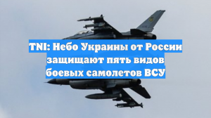 TNI: Небо Украины от России защищают пять видов боевых самолетов ВСУ