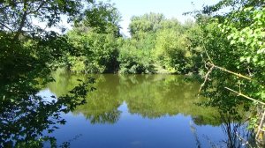 село хмелевое белгородская область