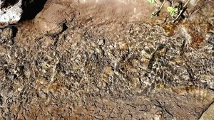 Чистейшая родниковая вода.