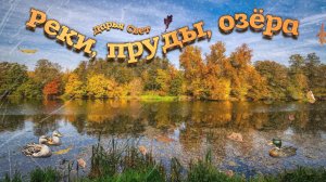 ВДНХ. Каменские пруды. Уточки. Жаркий денёк. Сентябрь 2025