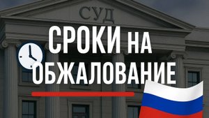 Сроки на обжалование в судах