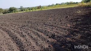 КОП ПО ПЯТАКАМ