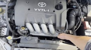 share ZZE123-0006511