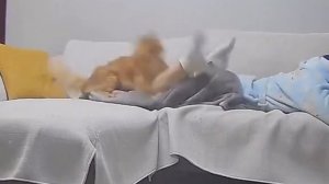 Противостояние