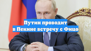 Путин проводит в Пекине встречу с Фицо