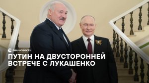 Путин на двусторонней встрече с Лукашенко