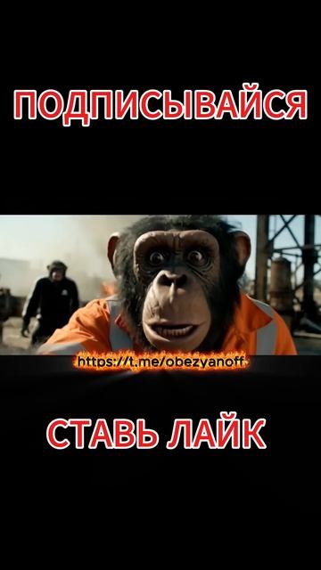 Братья Обезьяновы на металлоломе смотреть онлайн