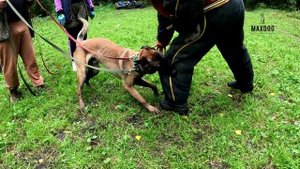 Персей 31.08.25