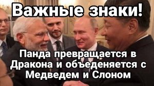 ТАМИР ШЕЙХ / ТАЙНЫЕ ЗНАКИ САММИТА ШОС! Панда превращается в Дракона. Новости