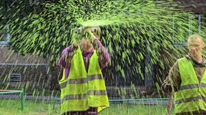 Зеленый ковер высаживают на придомовых территория