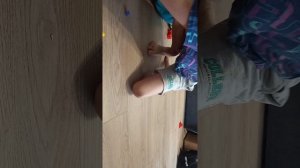 Играем в шестиногий пендатлон в реальной жизни с (капибарами)