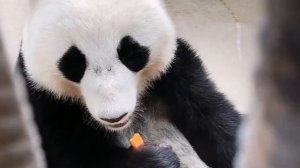 День Знаний у Катюши! 😊🥕