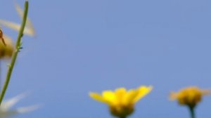 Желание понять, как верить и доверять Богу_