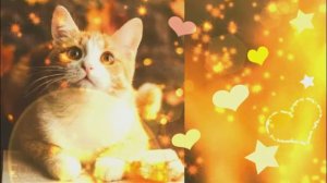 Прекрасного настроения с хорошими пожеланиями - Открытки с хорошим днем и прекрасным настроением