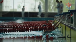 Кубок чемпионов по плаванию 2025