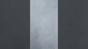 вечерняя  тренировка  ленинаканцев
