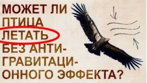 ⚡ Кондор ИСПОЛЬЗУЕТ антигравитацию ...