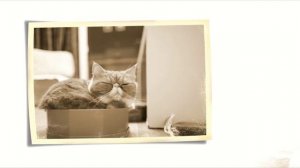 LastEden - Deep Under Water