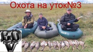 Охота на уток №3