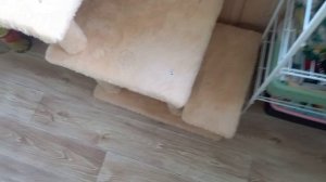 Фея и лесенка-чудесенка