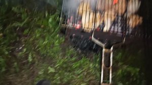 Шашлычки на даче🥰👍/1.09.2025