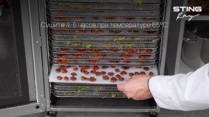 Приготовление закусок в электросушилке STINGRAY ST-FD736B