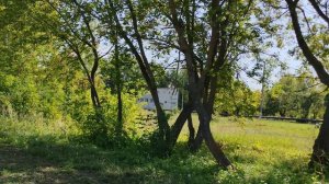 2 сентября, деревенская прогулка