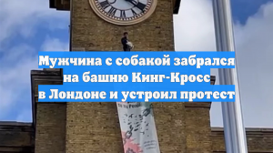 Мужчина с собакой забрался на башню Кинг-Кросс в Лондоне и устроил протест