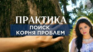 Практика ПОИСК КОРНЯ ПРОБЛЕМ