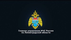 Сотрудники Главного управления МЧС России по Ленинградской области провели акцию #флагРодинымоей