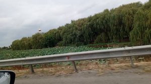 По дороге в Краснодар