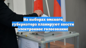 На выборах омского губернатора планируют ввести электронное голосование