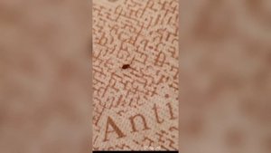 Уничтожение клопов Домодедово
📞+7-912-243-00-02 или пишите в месенджеры