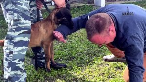 Ноган мужик