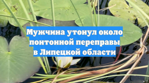 Мужчина утонул около понтонной переправы в Липецкой области
