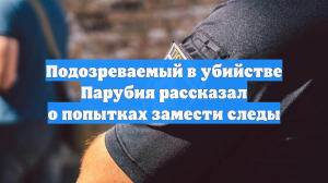 Подозреваемый в убийстве Парубия рассказал о попытках замести следы