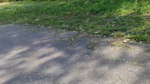 сентябрь в деревне, деревенская жизнь