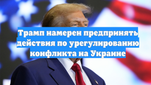 Трамп намерен предпринять действия по урегулированию конфликта на Украине