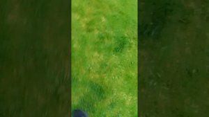 VID_20250902_194544.mp4