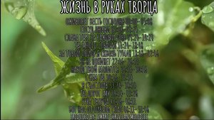 🎼--АЛЬБОМ ЖИЗНЬ В РУКАХ ТВОРЦА--АЛЬБОМ ИЮНЬ 2025-- Христианские песни-- SMART CHRISTIAN MELODIES ☦️
