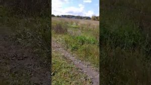 .идëм домой
