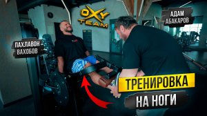 ТРЕНИРОВКА НОГ с Адамом Абакаровым / цикл обучающих роликов / как накачать ноги?