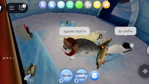 работаю в кафе тюленей часть 2