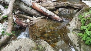 Водопад Чара. Водопады Менделиха.