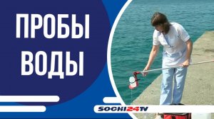 Морская вода на побережье Сочи полностью безопасна для купания