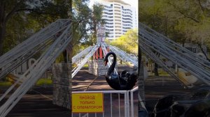 Воронеж. Парк Танаис.