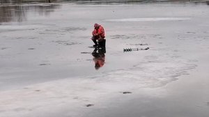 Я свабоден!