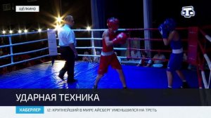 В Щёлкино прошёл турнир по боксу